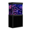 Aqua Dream USA Aquarium All Black Aqua Dream 50 Gallon Tempered Glass Aquarium Fish Tank [AD-860]