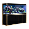 Aqua Dream USA Aquarium Black and Gold Aqua Dream 360 Gallon Large Tempered Glass Aquarium Fish Tank [AD-2310]