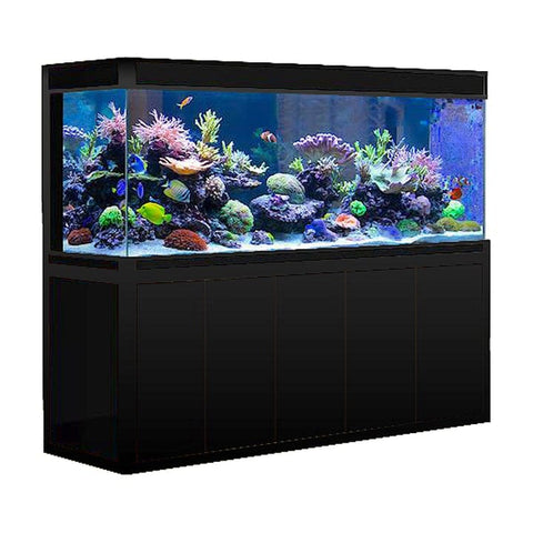 Image of Aqua Dream USA Aquariums Aqua Dream 400 Gallon Tempered Glass Aquarium Black [AD-2320-BP]